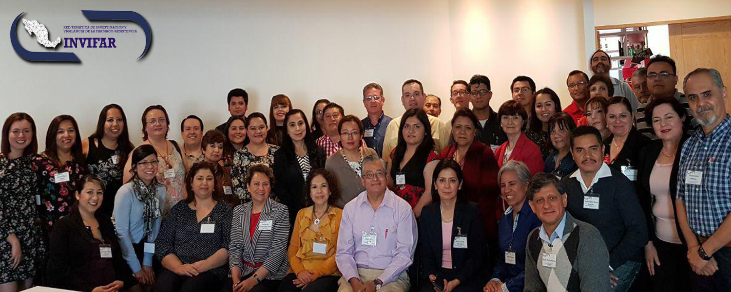 Imagen 3